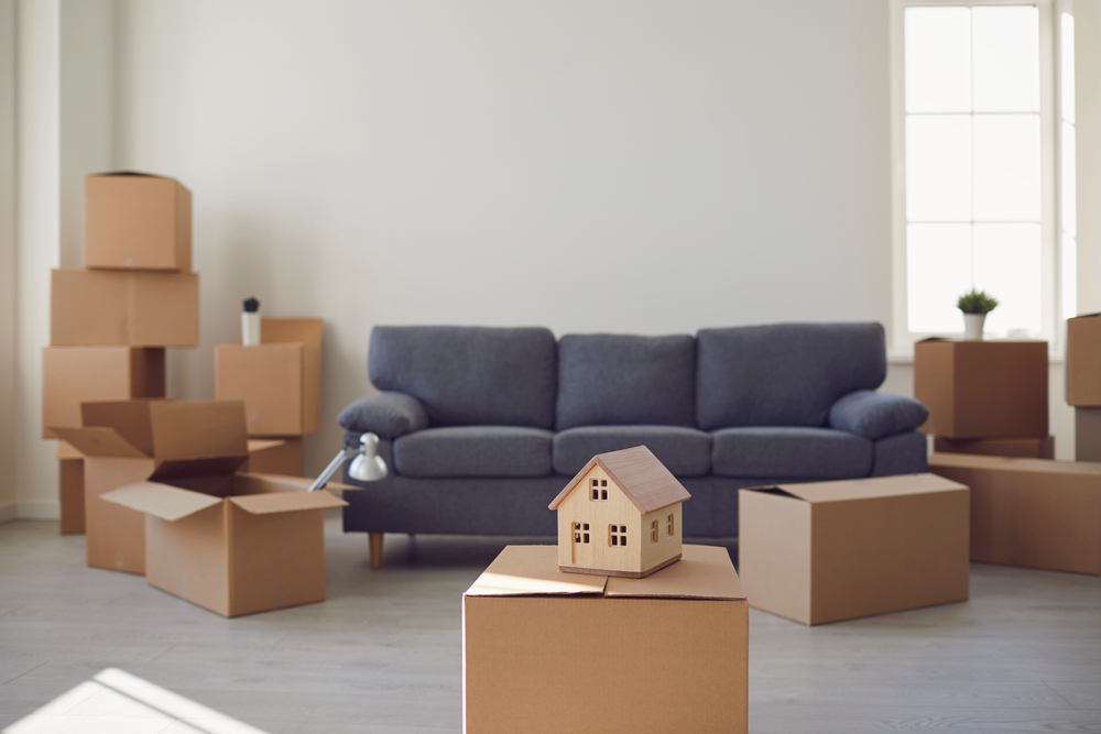media-what-is-the-single-best-advice-when-moving-house